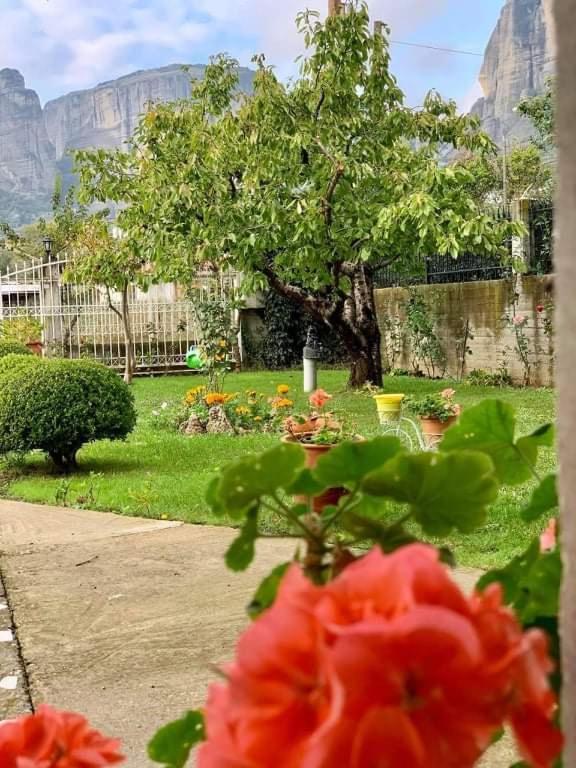Apartment Meteora View Garden Kalambaka